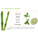 Shampoing Fortifiant Herbal Aloe - Herbalife